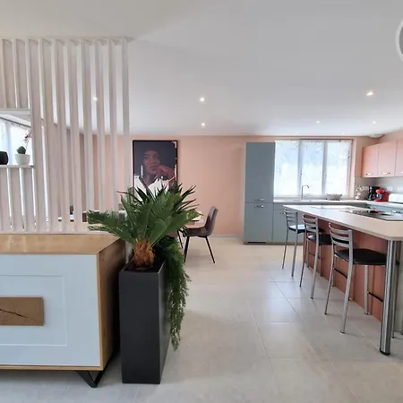 Chaleureux Avec Wifi Et Grand Jardin, Près De Disneyland - Fr-1-532-22 * Viels-Maisons